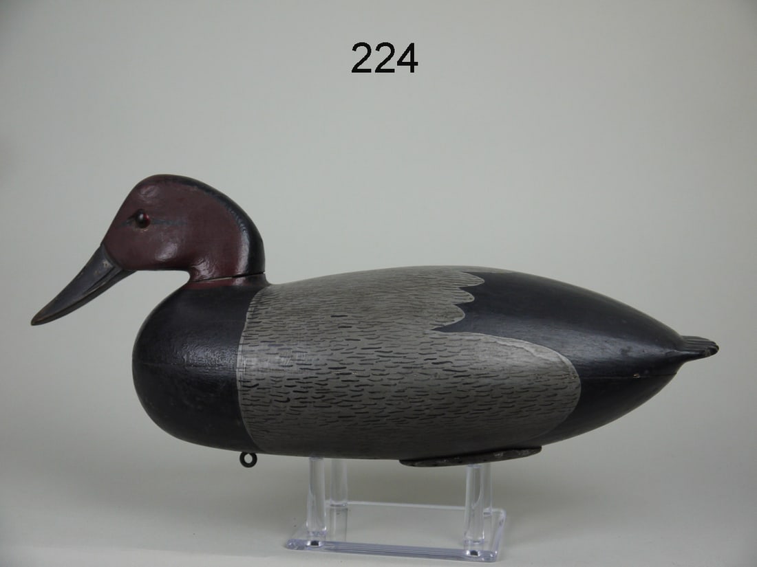 CANVASBACK DRAKE, J. HEISLER (1 of 4)