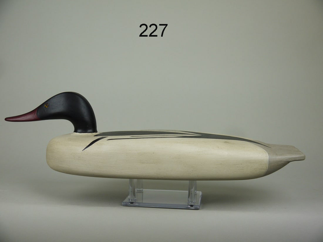 AMERICAN MERGANSER DRAKE, B. SEABROOK (1 of 4)