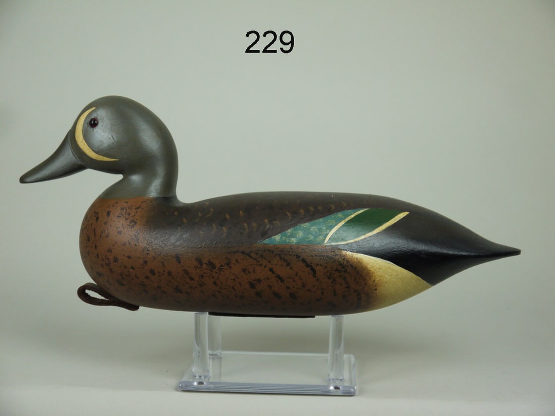 BLUE WING TEAL DRAKE, B. SEABROOK (1 of 4)