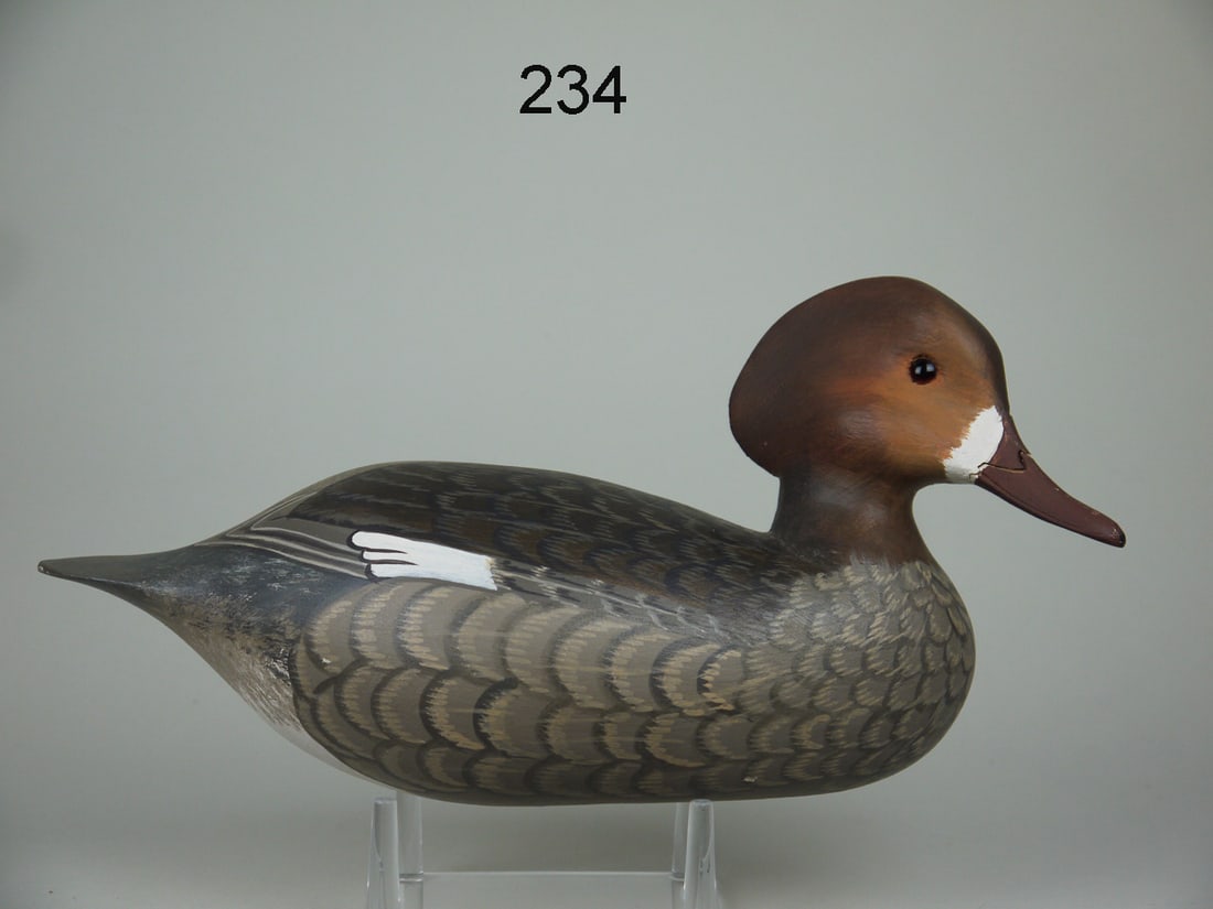 HOODED MERGANSER HEN, H.V. SHOURDS (1 of 4)