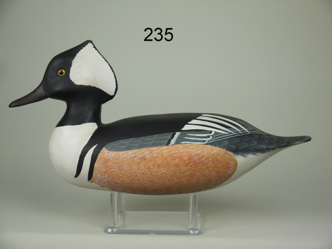 HOODED MERGANSER DRAKE, H.V. SHOURDS (1 of 4)