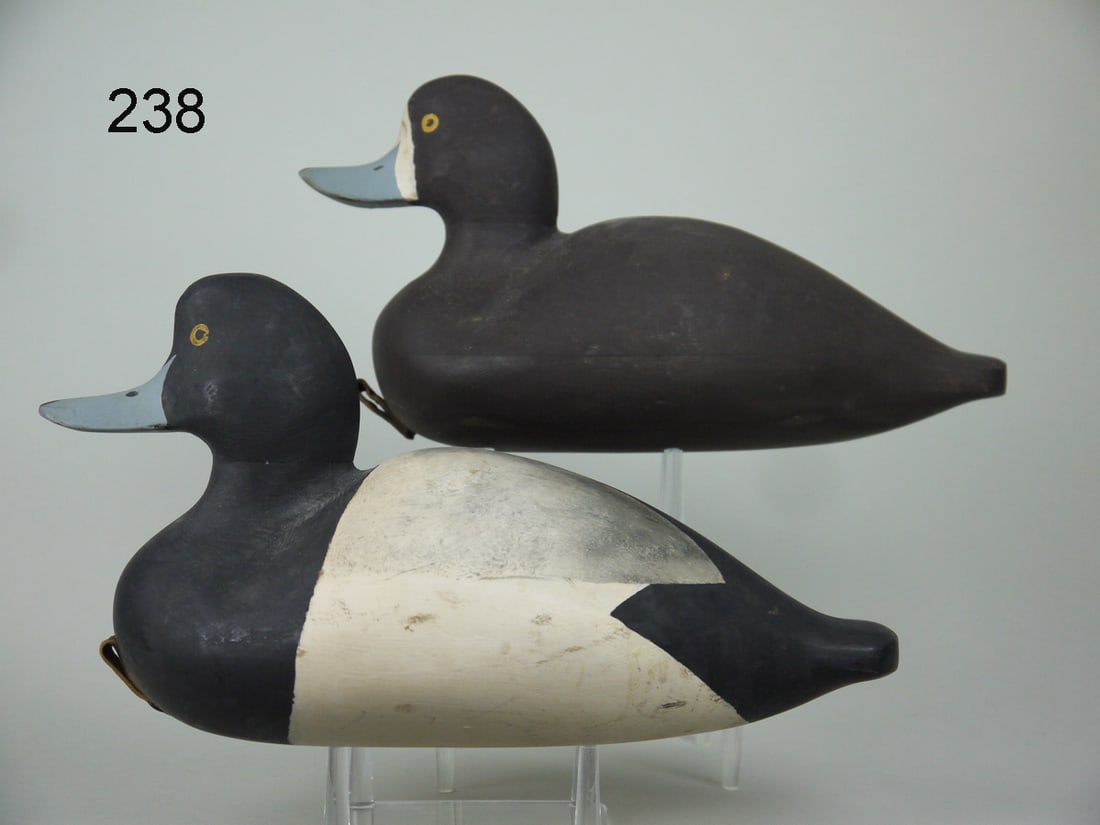 BROADBILL PAIR, W. CRANMER (1 of 4)