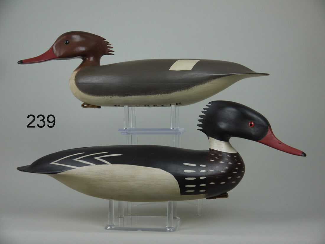 RED-BREASTED MERGANSER PAIR, H. CONKLIN (1 of 4)