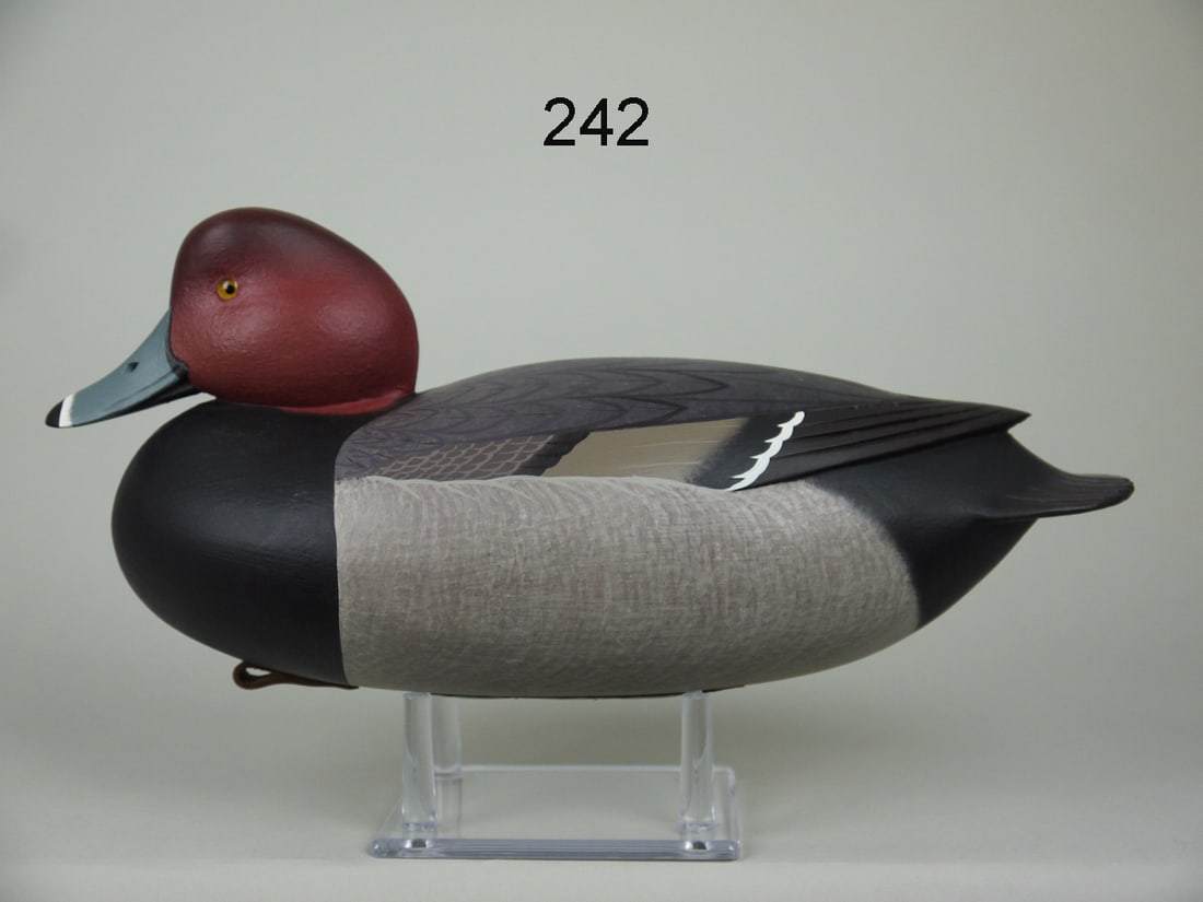 REDHEAD DRAKE, F.C. BROWN, JR. (1 of 4)