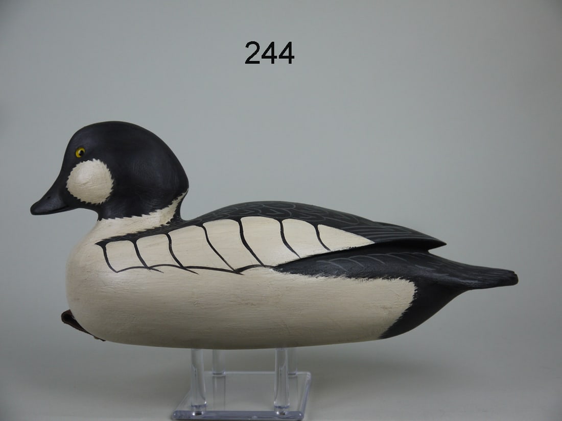 GOLDENEYE DRAKE, C. FENNIMORE (1 of 4)