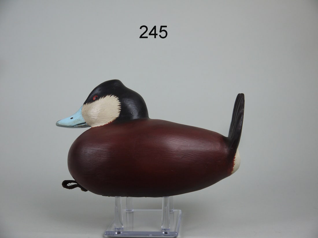 RUDDY DUCK DRAKE, C. FENNIMORE (1 of 4)
