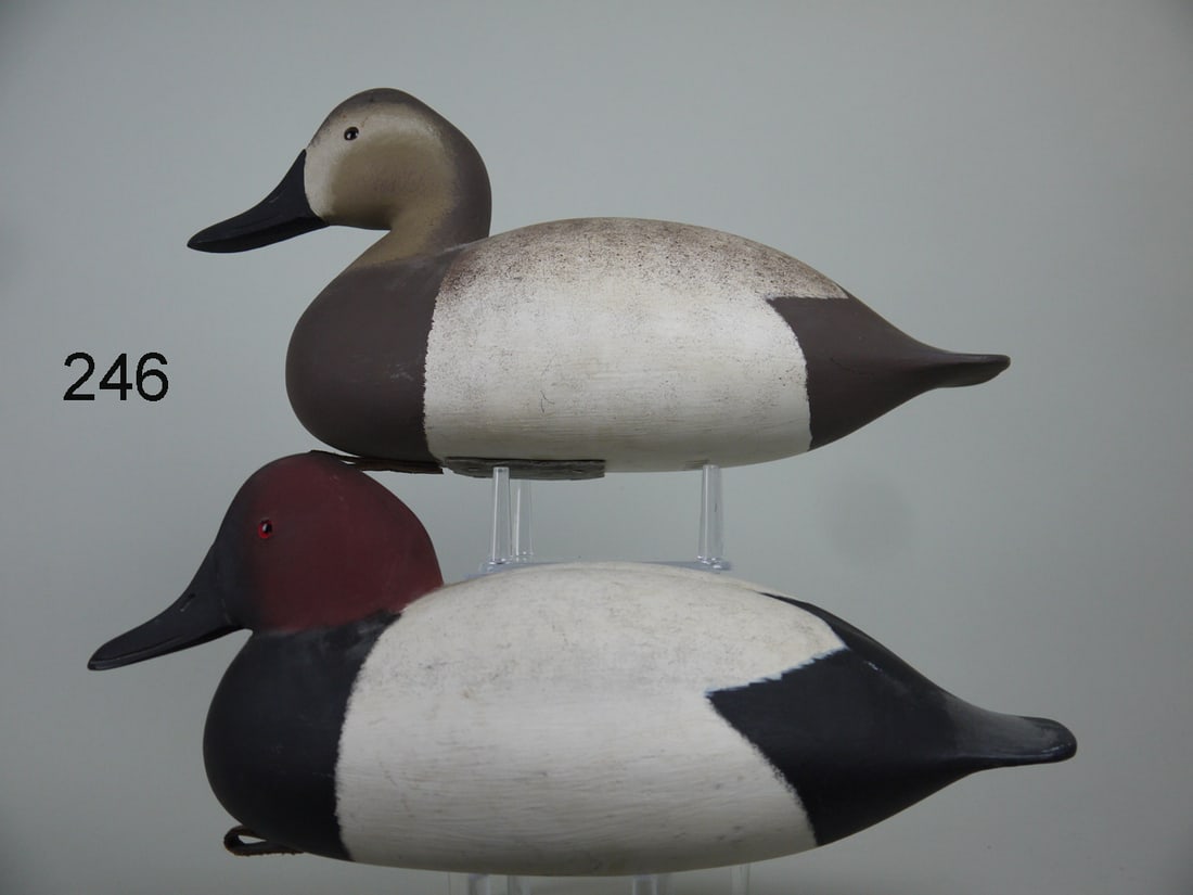 CANVASBACK PAIR, D. HALL (1 of 4)