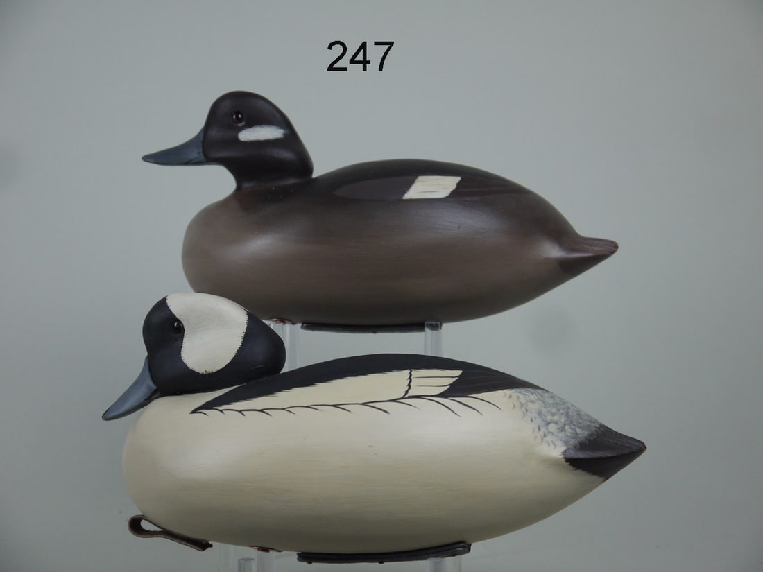 BUFFLEHEAD PAIR, D. MORRONE (1 of 4)