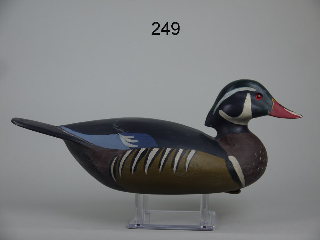 WOOD DUCK DRAKE, R. ANDERSON (1 of 4)