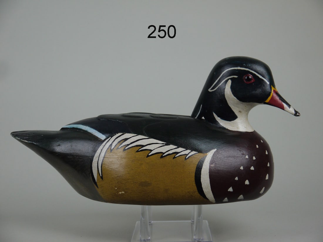 WOOD DUCK DRAKE, J. WEST (1 of 4)