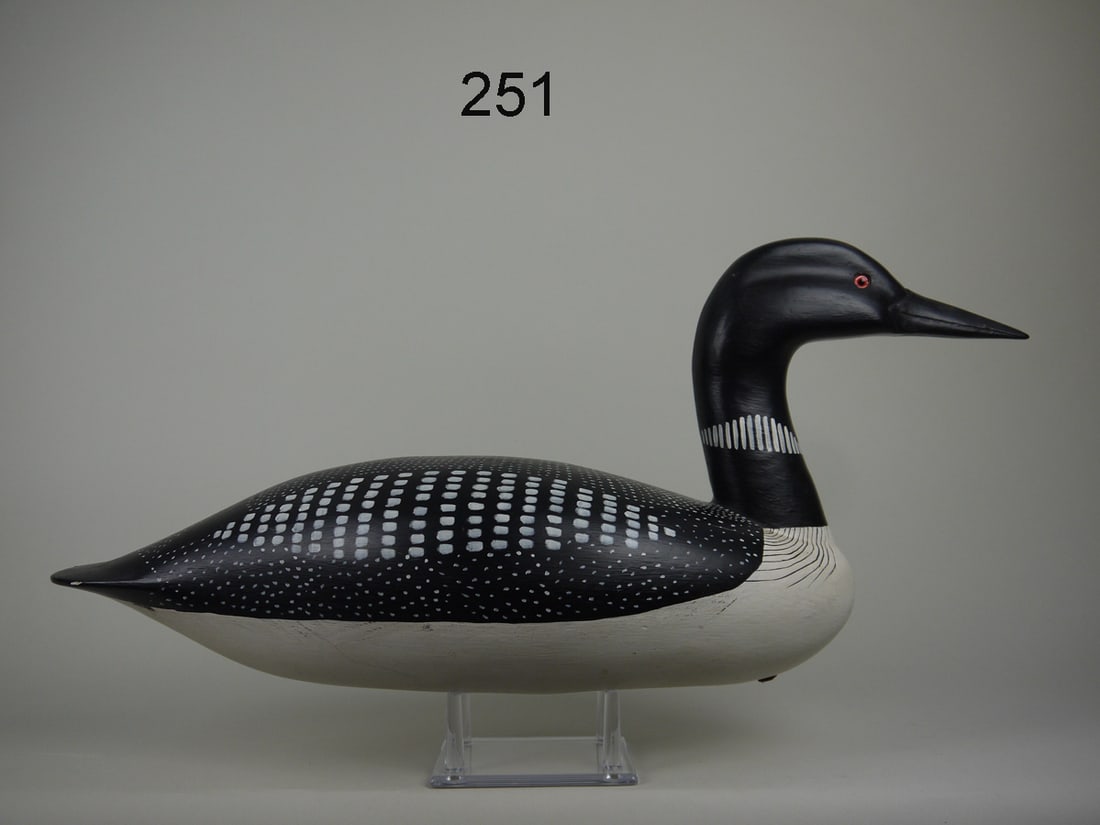 COMMON LOON, B. RUTTER, SR. (1 of 4)