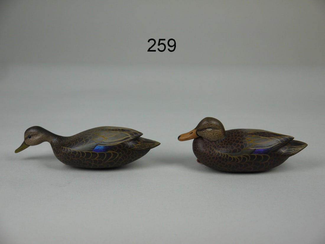 COCKTAIL BLACK DUCK PAIR, J. WOOD (1 of 4)