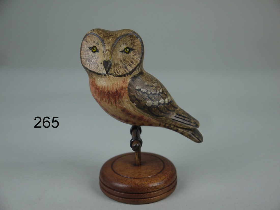 MINIATURE BARRED OWL, K. KIRBY (1 of 5)