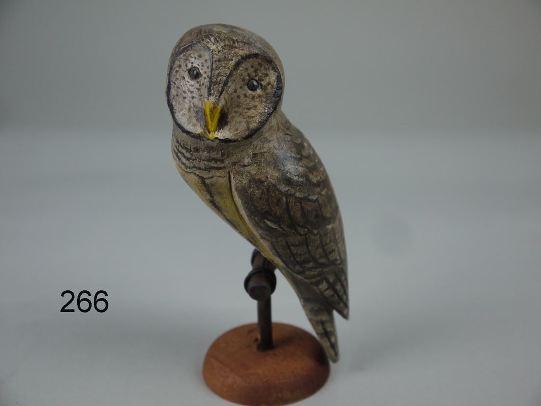 BARN OWL, K. KIRBY (1 of 5)