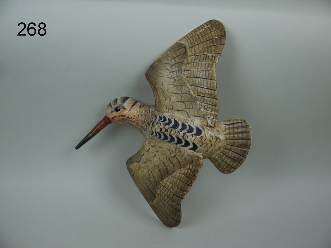 FLYING WOODCOCK, K. KIRBY (1 of 2)