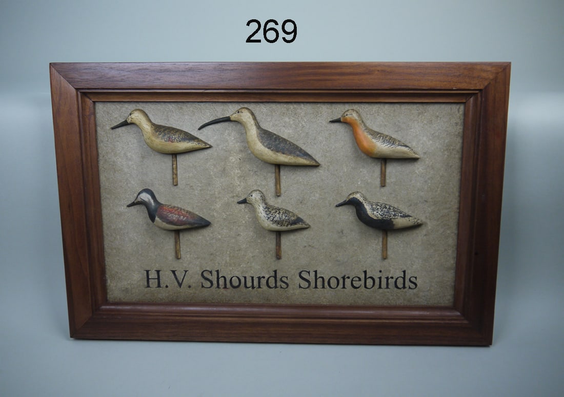 SHOREBIRD DISPLAY, K. KIRBY (1 of 1)