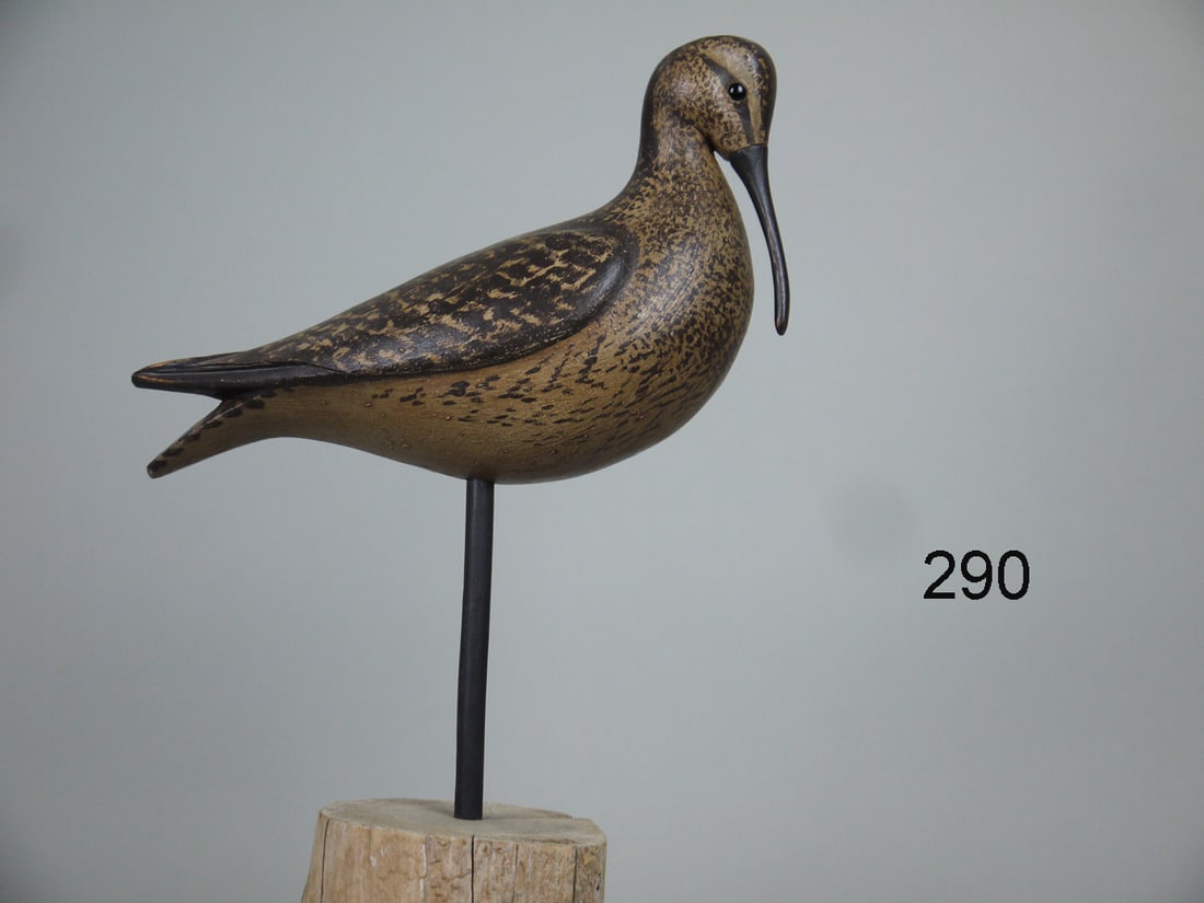 ESKIMO CURLEW, S. MOREY (1 of 4)