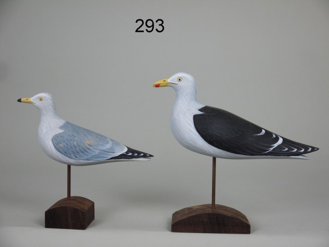 TWO ONE-QUARTER SIZE GULLS, D. RHODES (1 of 2)