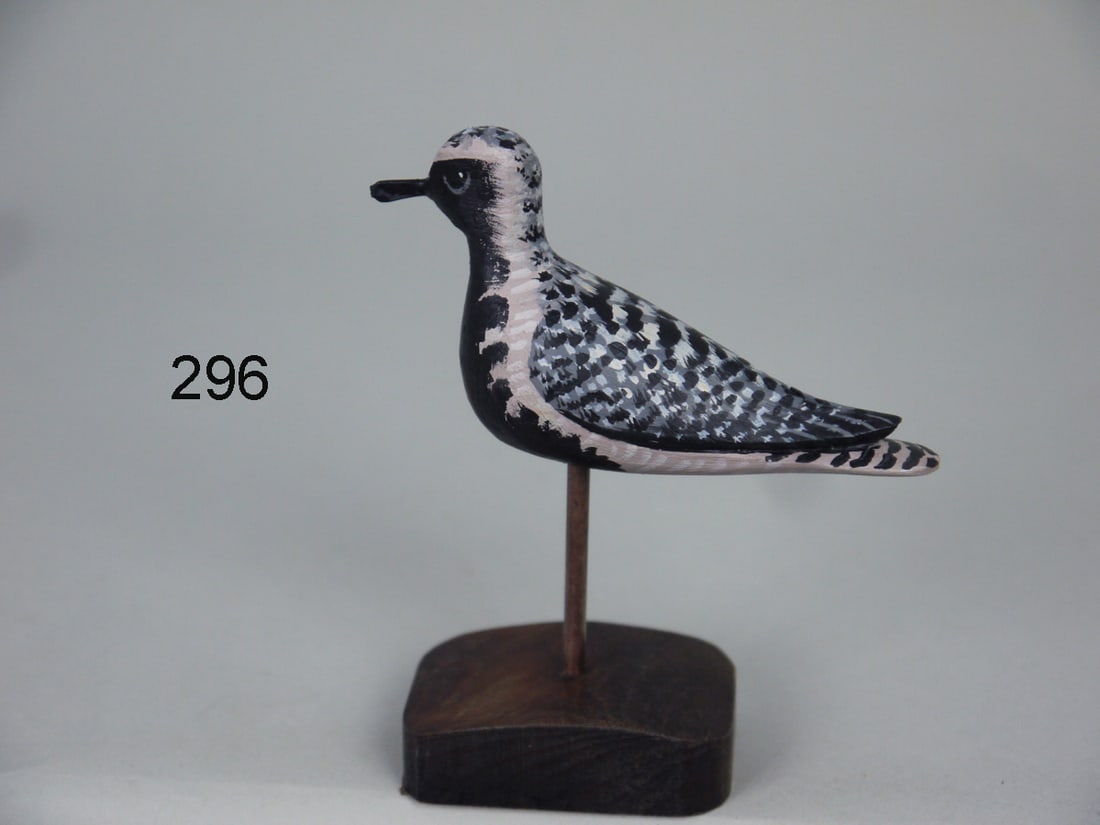 MINIATURE BLACK-BREASTED PLOVER, D. RHODES (1 of 2)