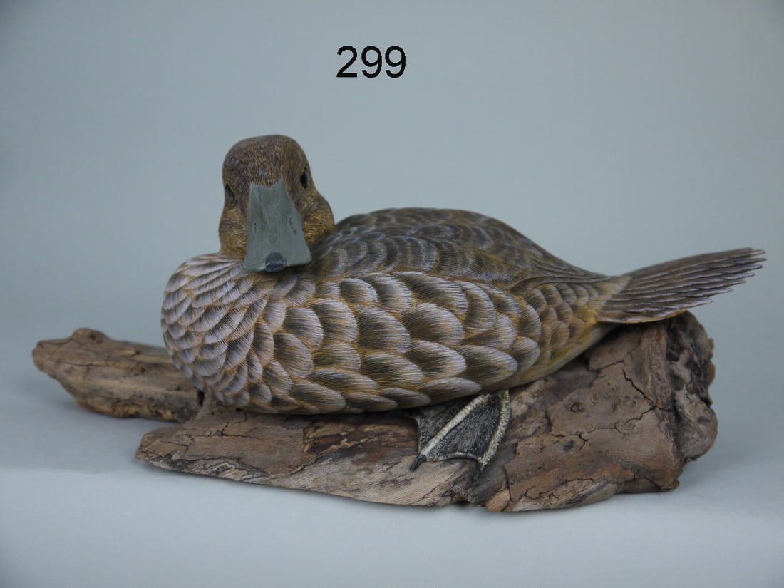 RUDDY DUCK HEN, H. MCCHESNEY (1 of 2)