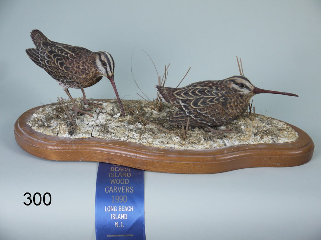COMMON SNIPE PAIR, W. COWAN: PAIR OF COMMON SNIPE by William Cowan. Very good original paint and structural condition. Cracks and repair to plaster base. Very detail carved and painted feather detail to both. Both with carved win