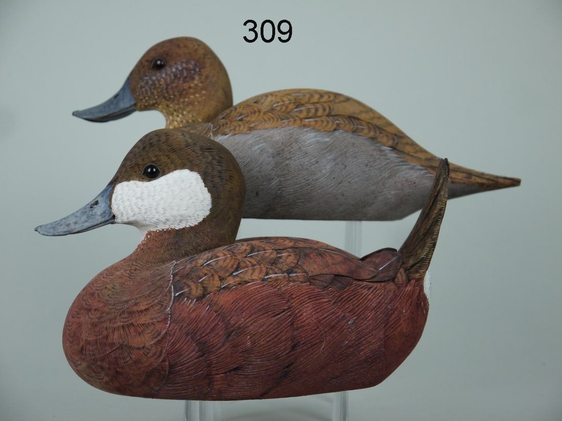 RUDDY DUCK PAIR, M.L. DIEUGENIO (1 of 4)