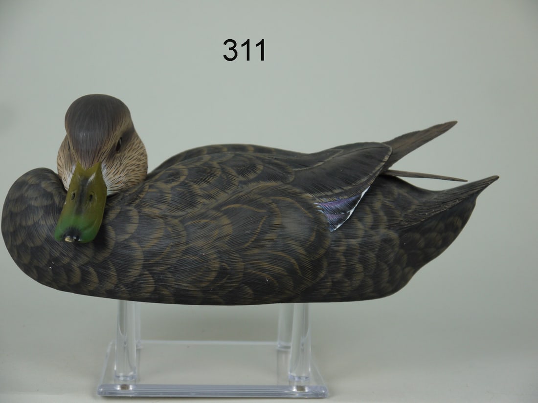 ONE-HALF SIZE BLACK DUCK, J.A. MOORE (1 of 4)