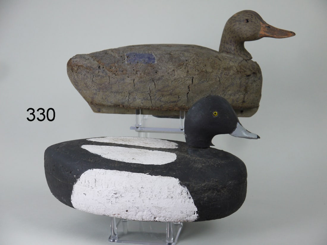 BLACK DUCK, BLUEBILL, LONG ISLAND (1 of 4)