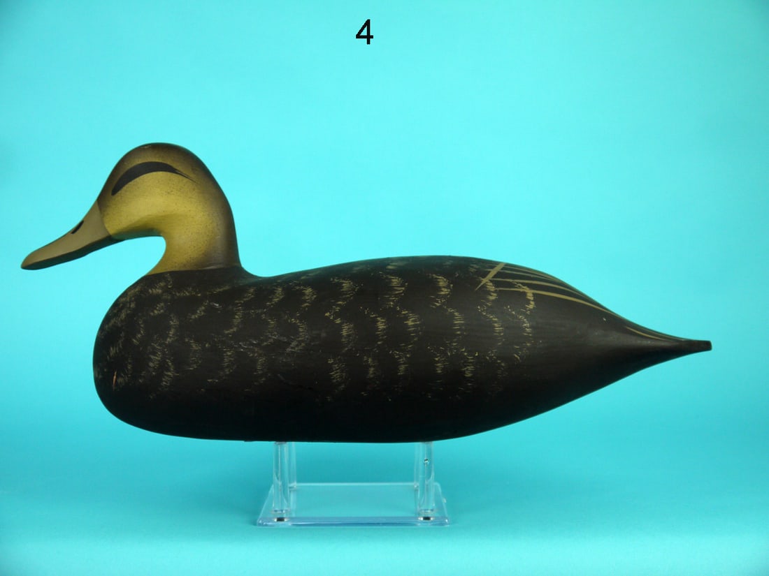 BLACK DUCK, WILDFOWLER (1 of 4)