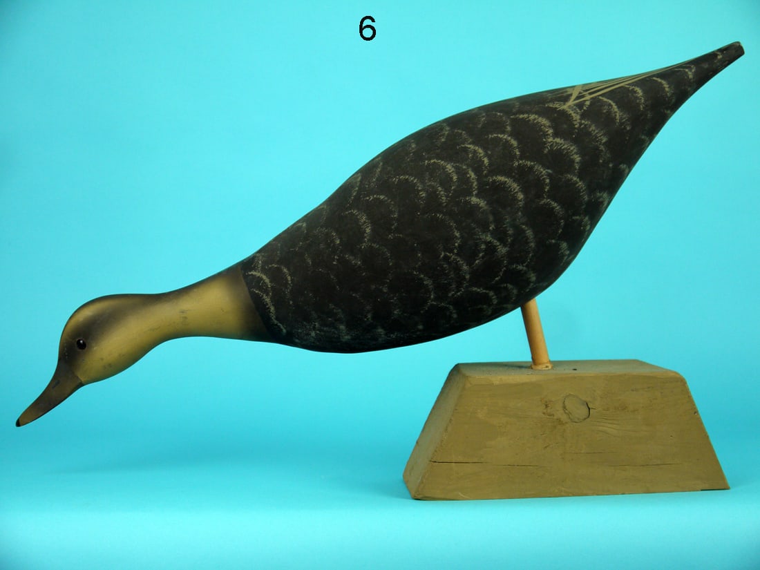 BLACK DUCK FIELD DECOY , WILDFOWLER (1 of 4)