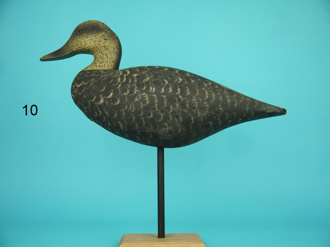 BLACK DUCK, WILDFOWLER (1 of 4)