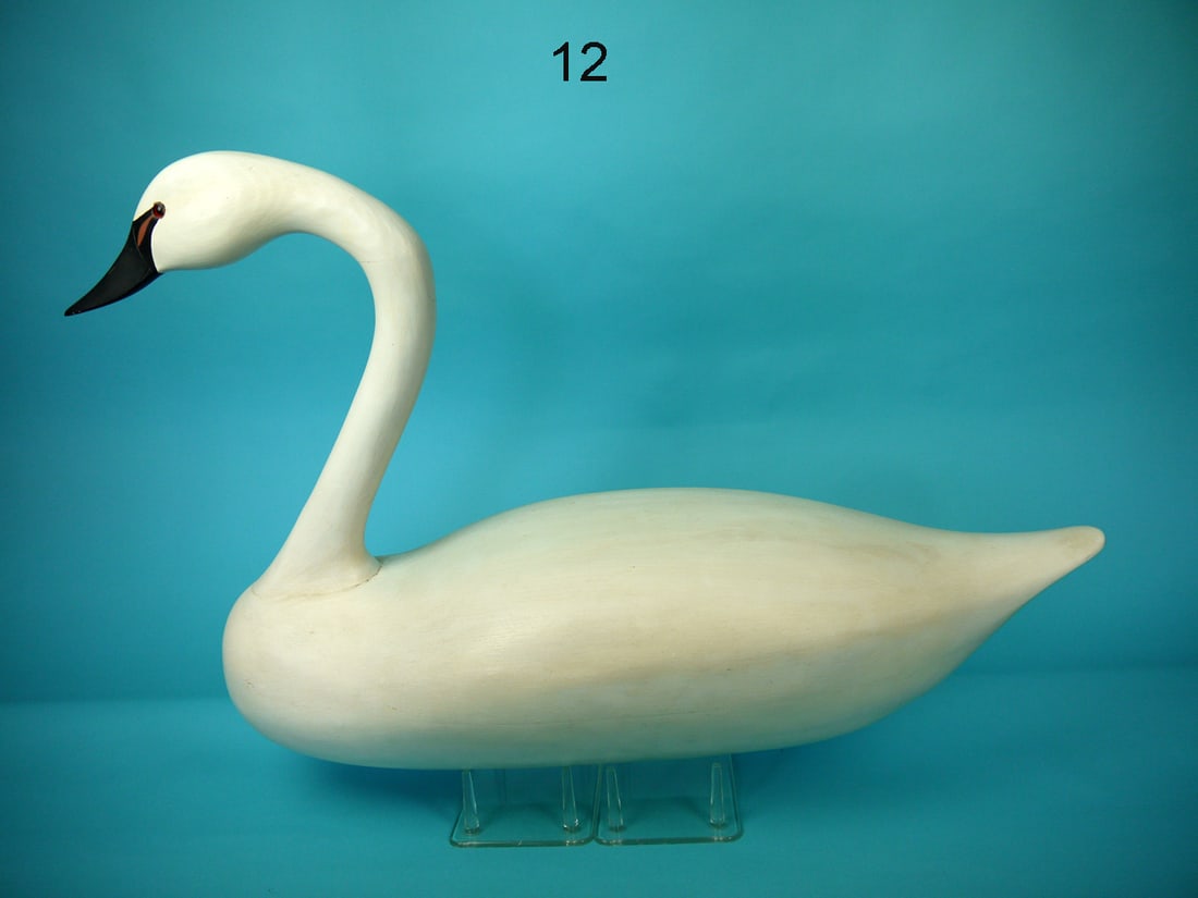 TUNDRA SWAN, WILDFOWLER (1 of 4)