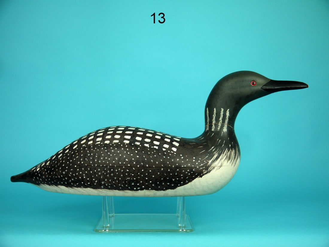 LOON, WILDFOWLER (1 of 4)