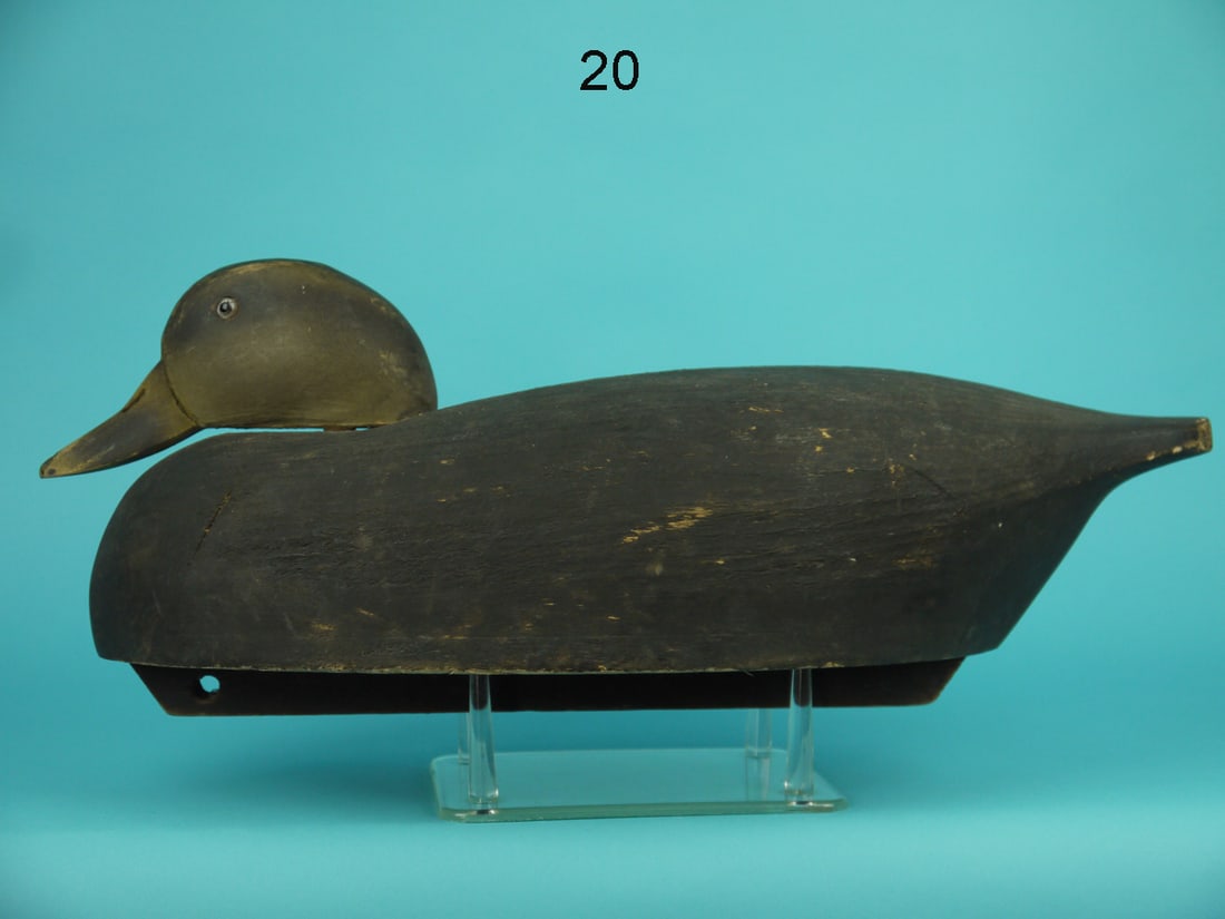 BLACK DUCK, WILDFOWLER (1 of 4)