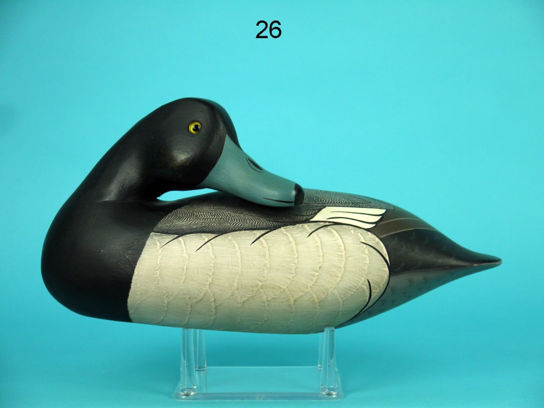 BROADBILL DRAKE, WILDFOWLER (1 of 4)