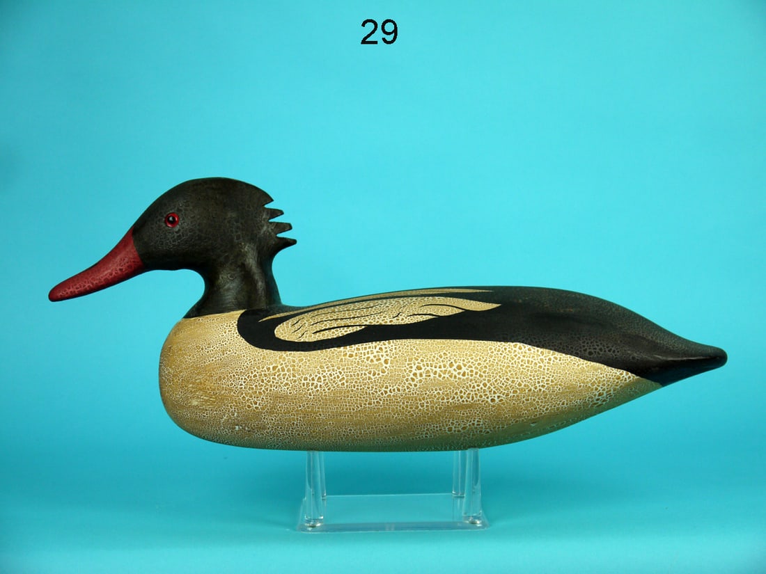 AMERICA MERGANSER DRAKE, WILDFOWLER (1 of 4)