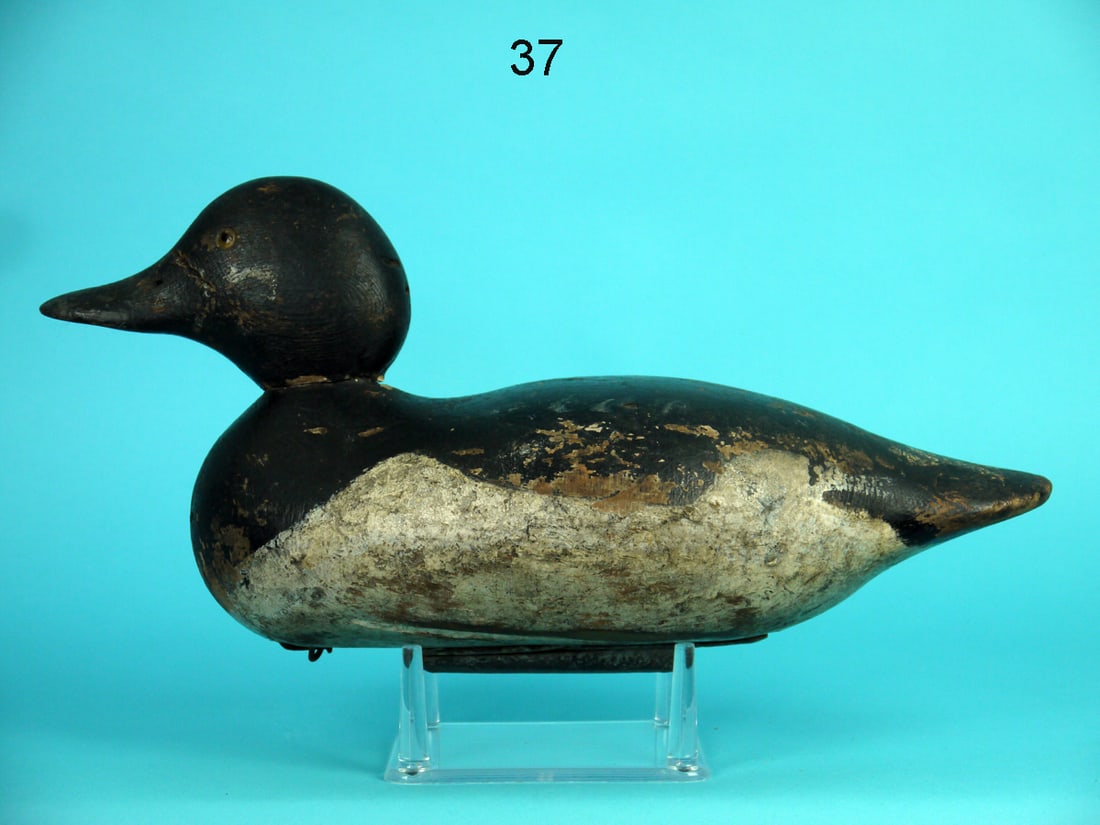 BLUEBILL DRAKE, MASON (1 of 4)