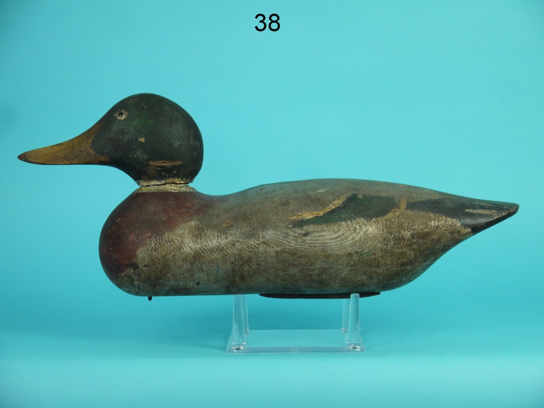 MALLARD DRAKE, MASON (1 of 4)