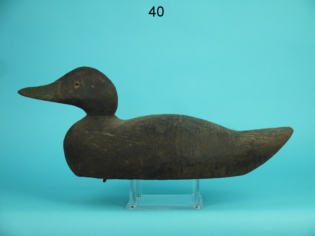 BLACK DUCK, VICTOR DECOY CO. (1 of 4)