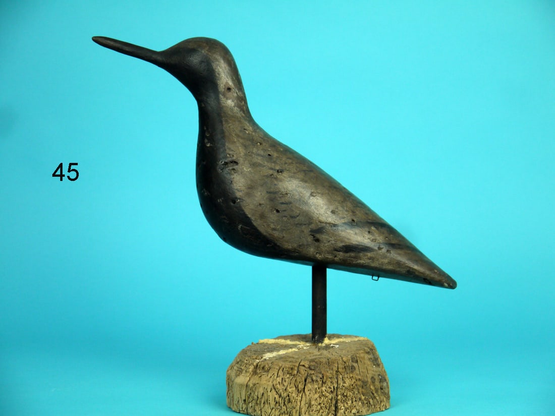 BLACK-BREASTED PLOVER, NEW JERSEY (1 of 4)