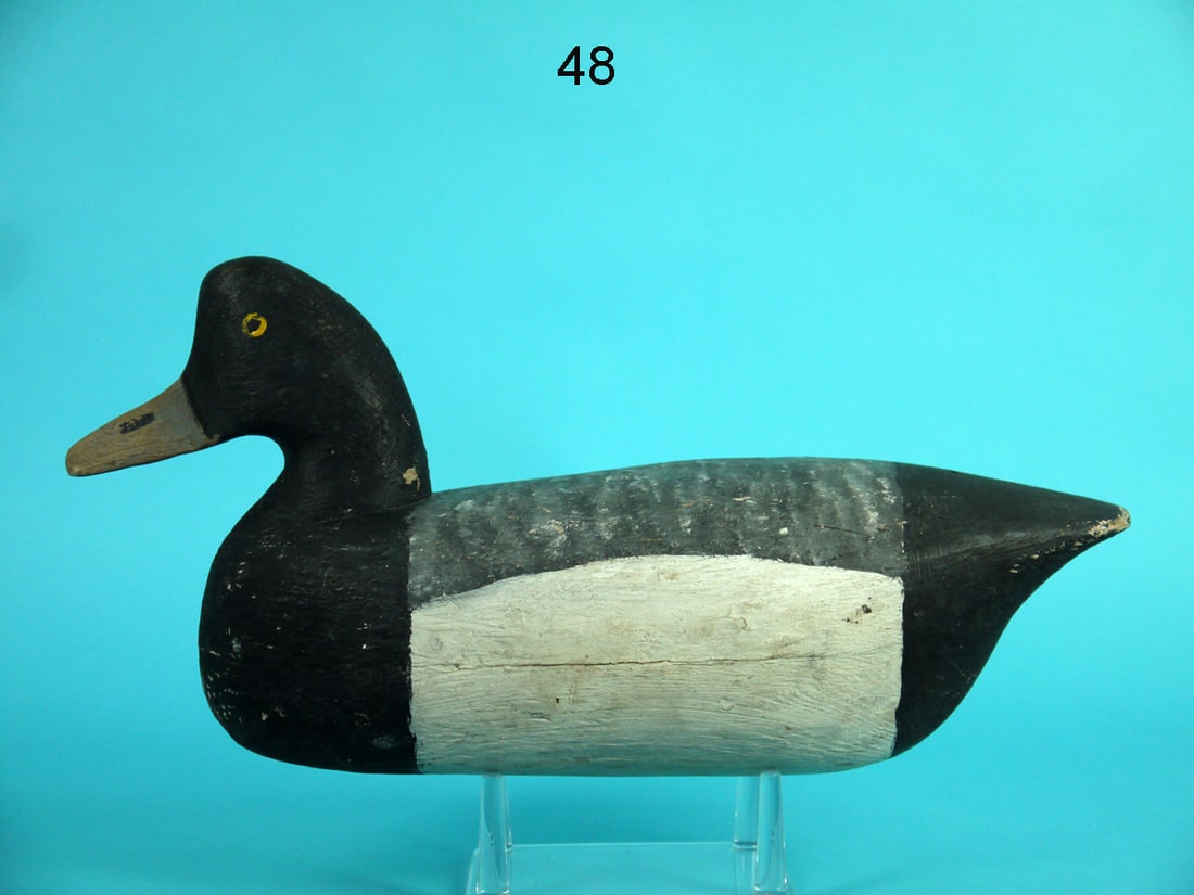 BLUEBILL DRAKE, R. CORLISS (1 of 4)