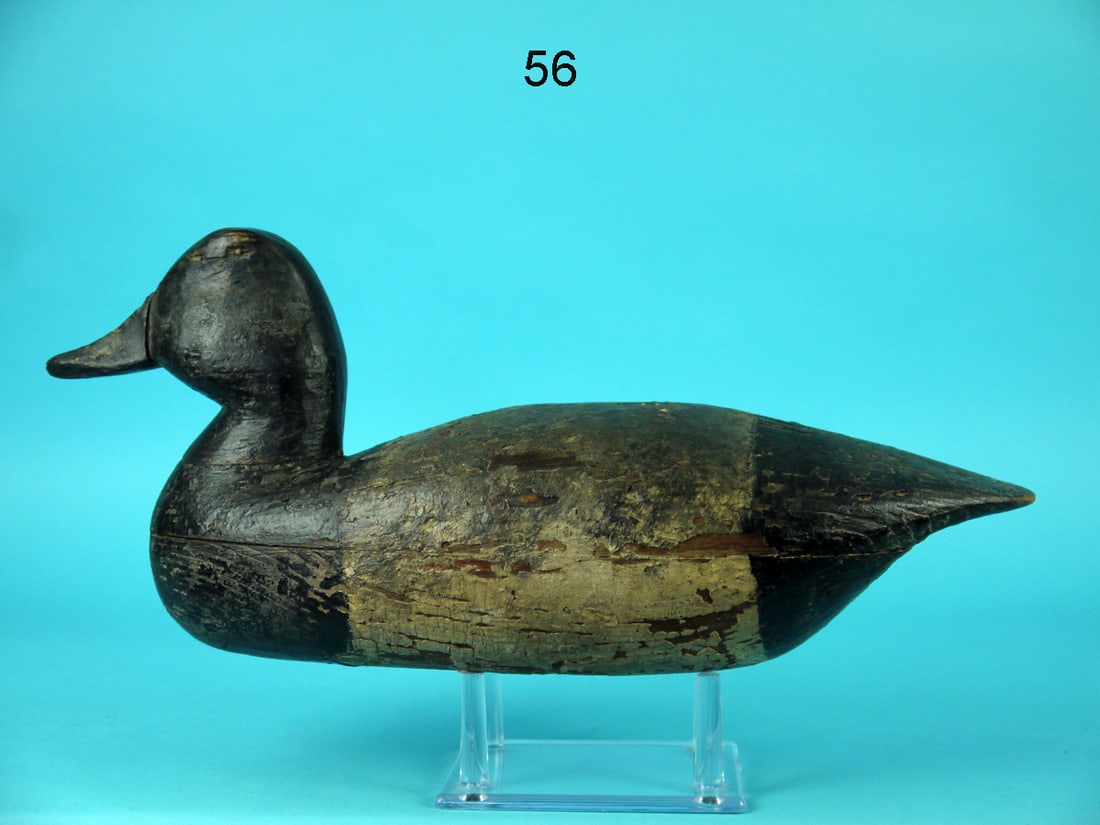 BLUEBILL DRAKE, BIRDSALL FAMILY (1 of 4)