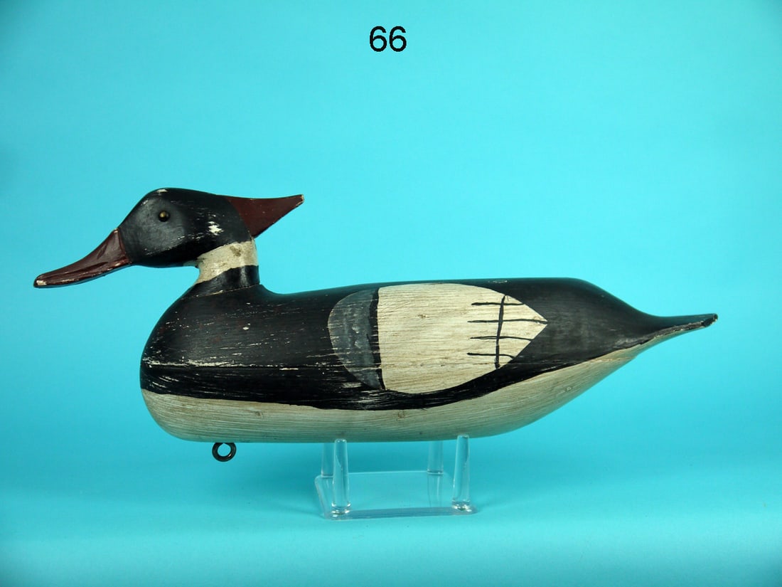 AMERICAN MERGANSER DRAKE, J.E. HENDRICKSON (1 of 4)