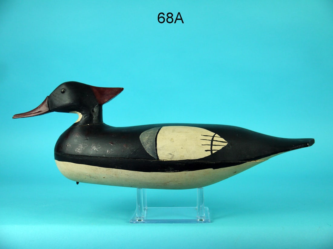 RED-BREASTED MERGANSER DRAKE, E. HENDRICKSON (1 of 4)