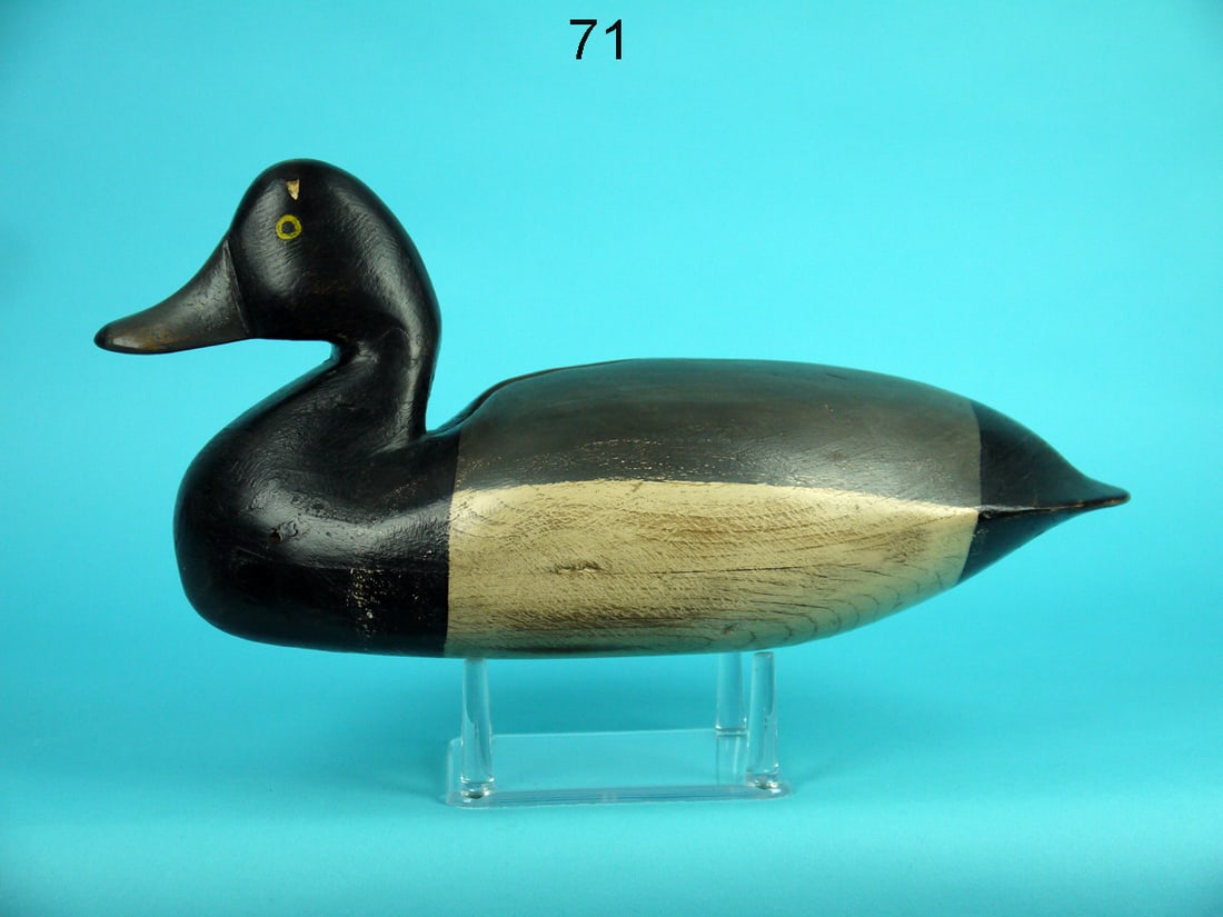 BROADBILL DRAKE, J. KING (1 of 4)