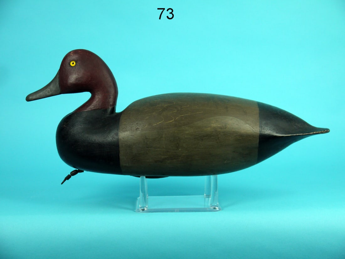 REDHEAD DRAKE, J. KING (1 of 4)