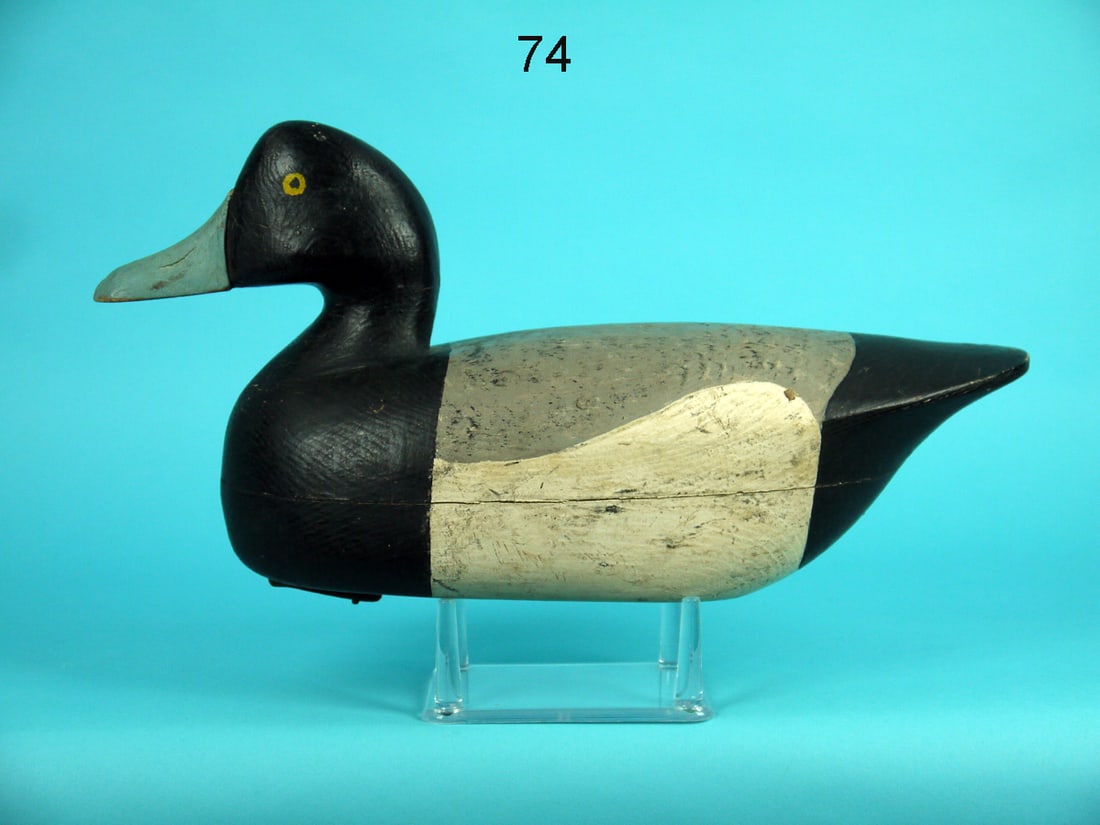 BROADBILL DRAKE, J. PARKER (1 of 4)