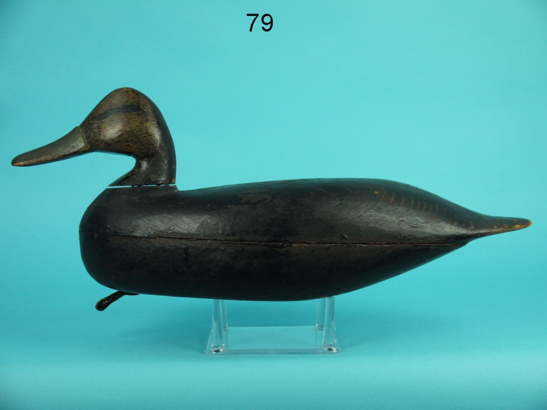 BLACK DUCK, J. UPDIKE (1 of 4)