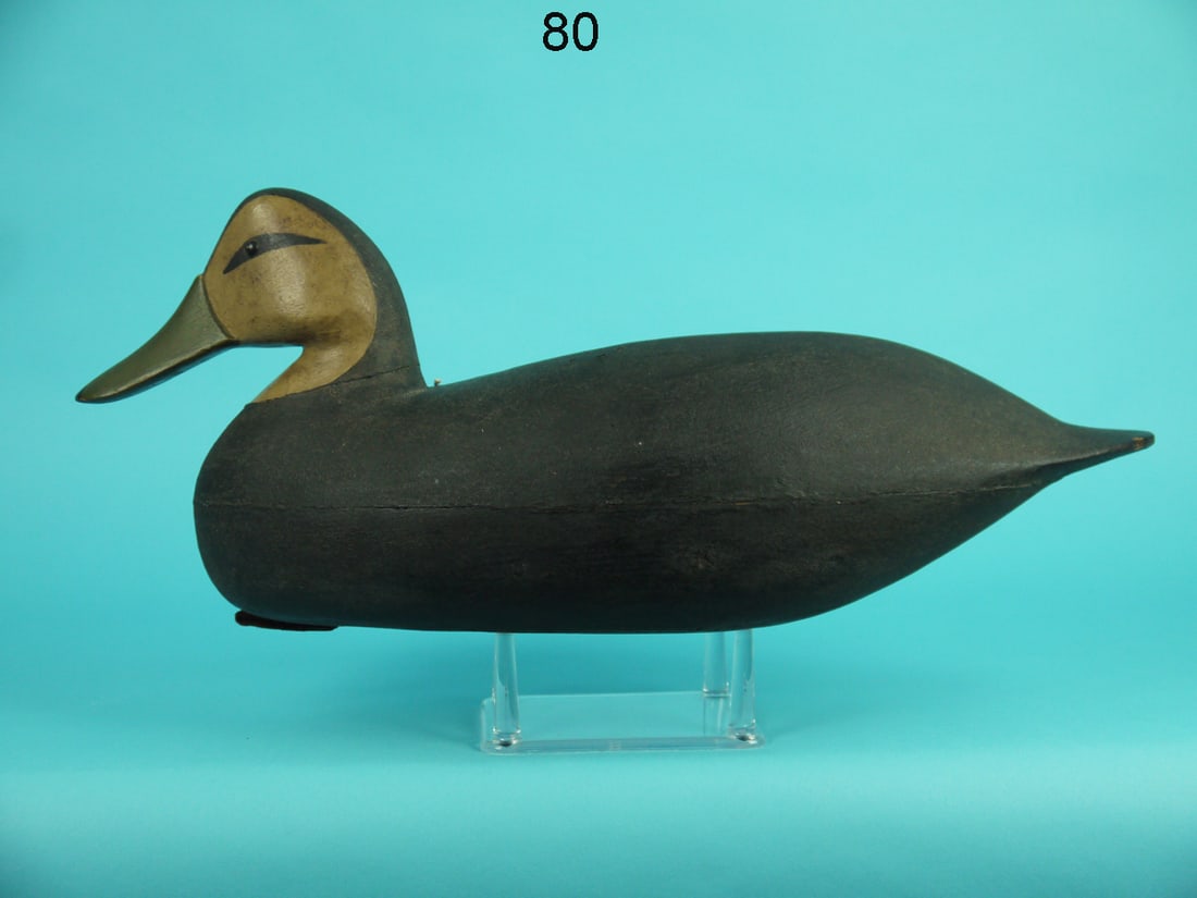 BLACK DUCK, J. UPDIKE (1 of 4)