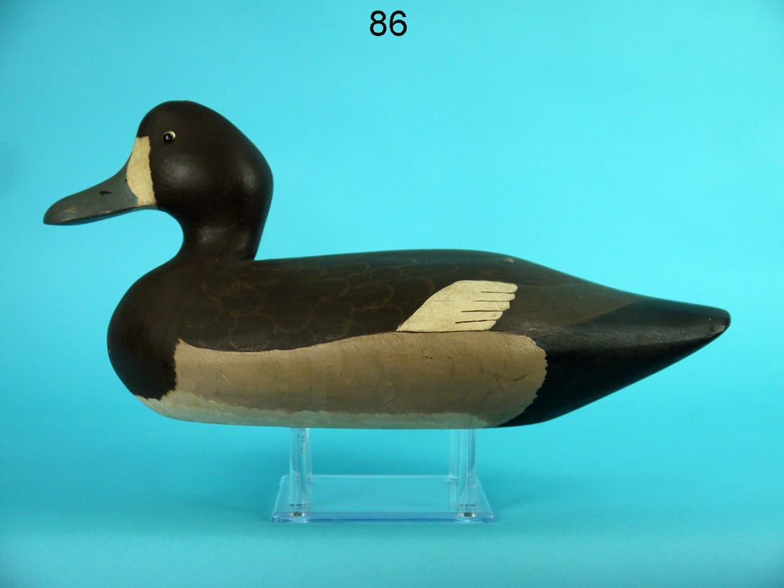 BLUEBILL HEN, CHESAPEAKE BAY (1 of 4)